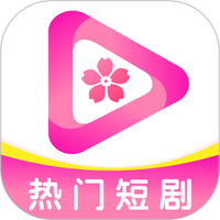 91破解版图片